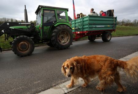 BUDNICA 1. MAJ 05 FOTO LJUBO VUKELIČ